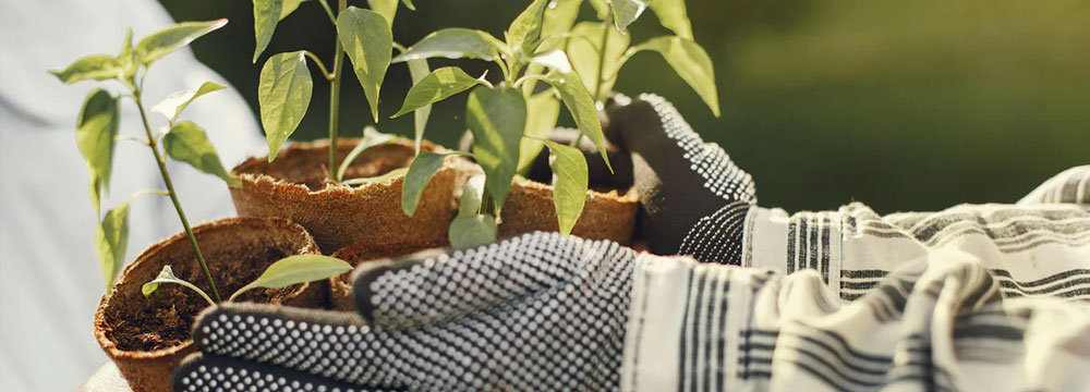 16 Ways to Express Your Gratitude to Your Closest Companions